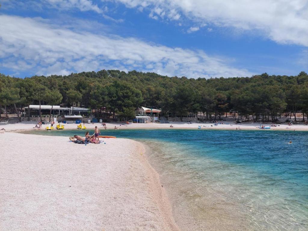 Luxury Mobile Home Pretty Green - Premium - Oaza Mira Resort -50 M From The Beach 德拉格 外观 照片